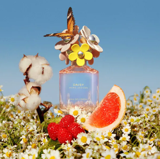 Daisy Trio Perfume Gift Set / Marc Jacobs Fragrances