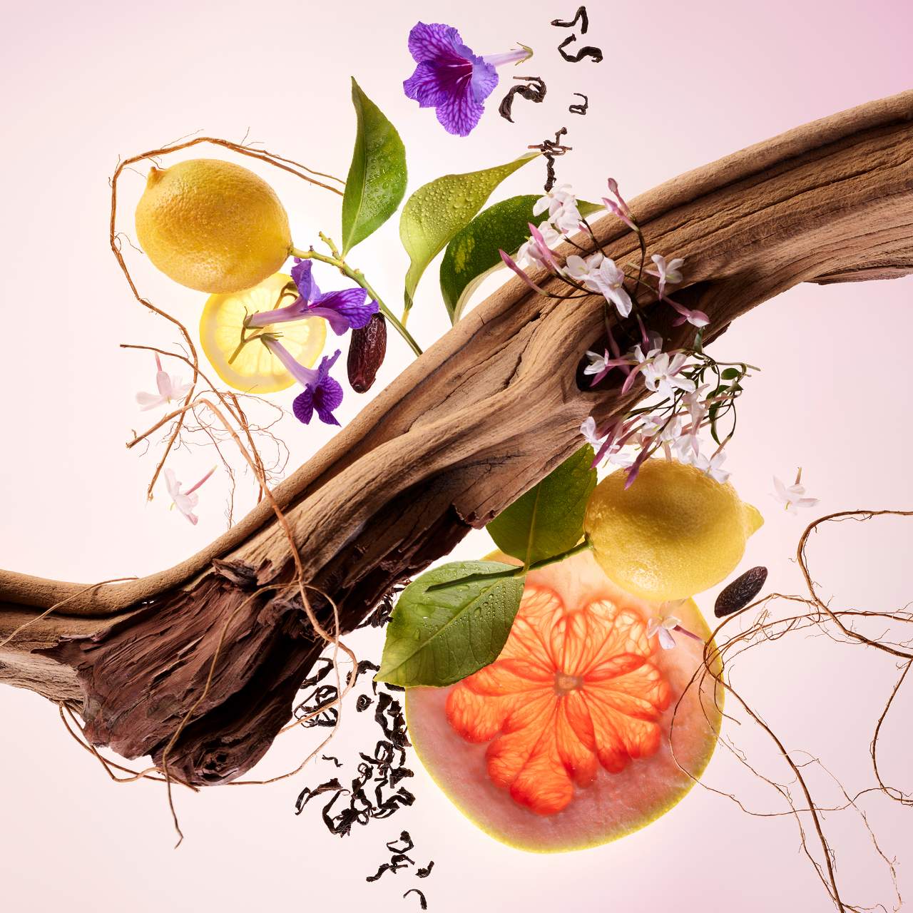 Mini Find Comfort Lotion & Fragrance Set - Rare Beauty by Selena Gomez.