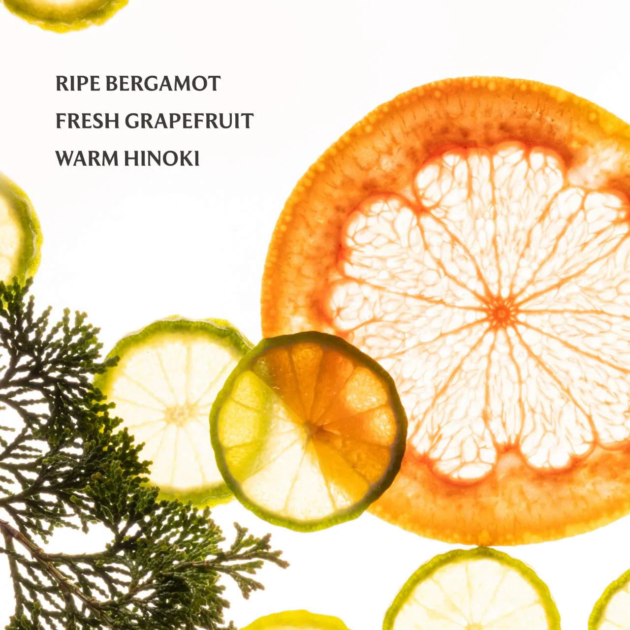 Sparkling Bergamot Power Essence Body & Hair Fragrance Mist - Touchland    PREVENTA