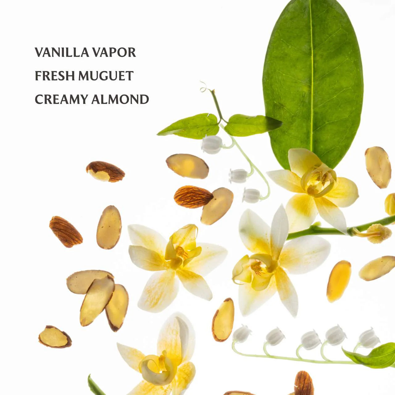 Vanilla Velvet Power Essence Body & Hair Fragrance Mist- Touchland .