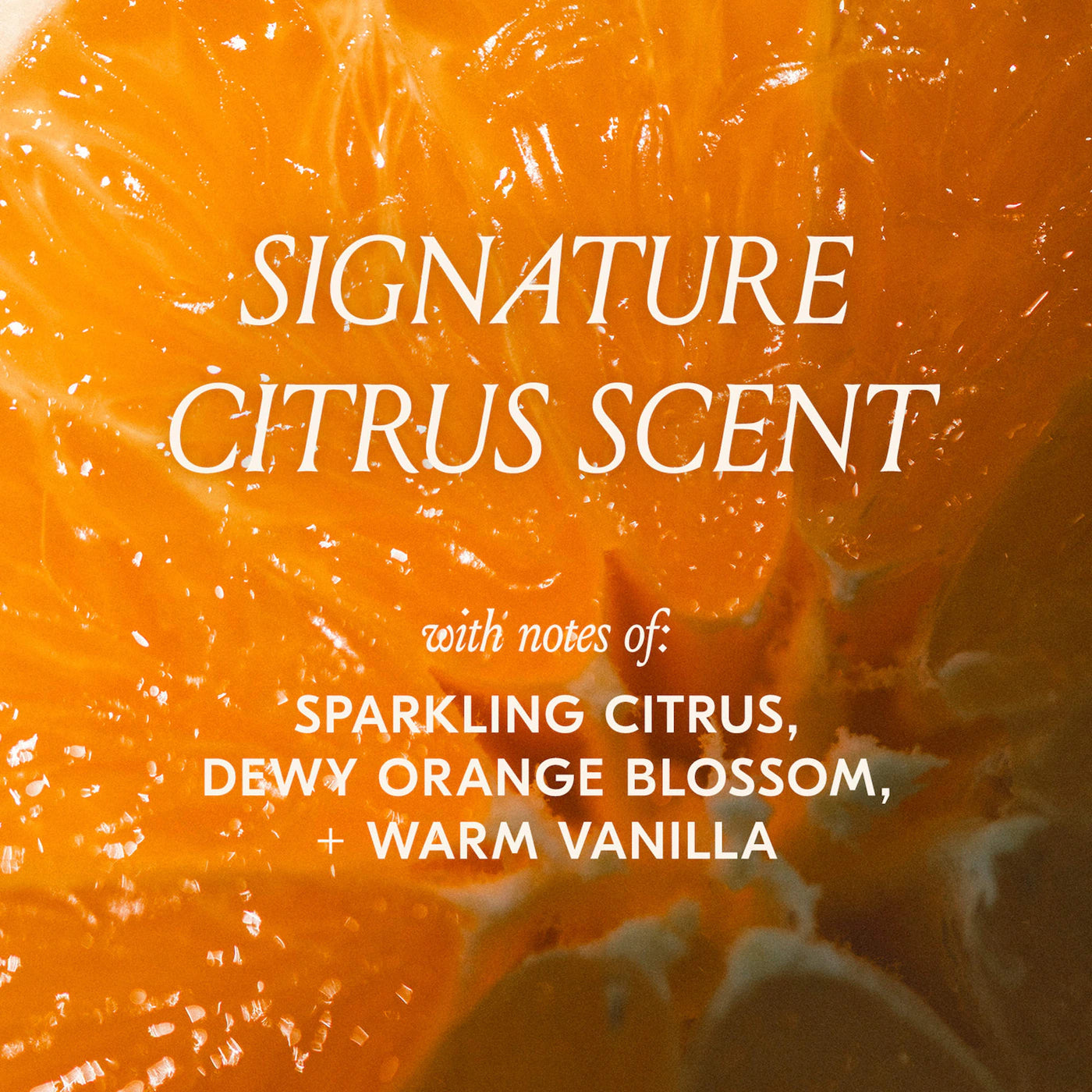 Slick Citrus Twist Hair + Body Kit - dae  PREVENTA.
