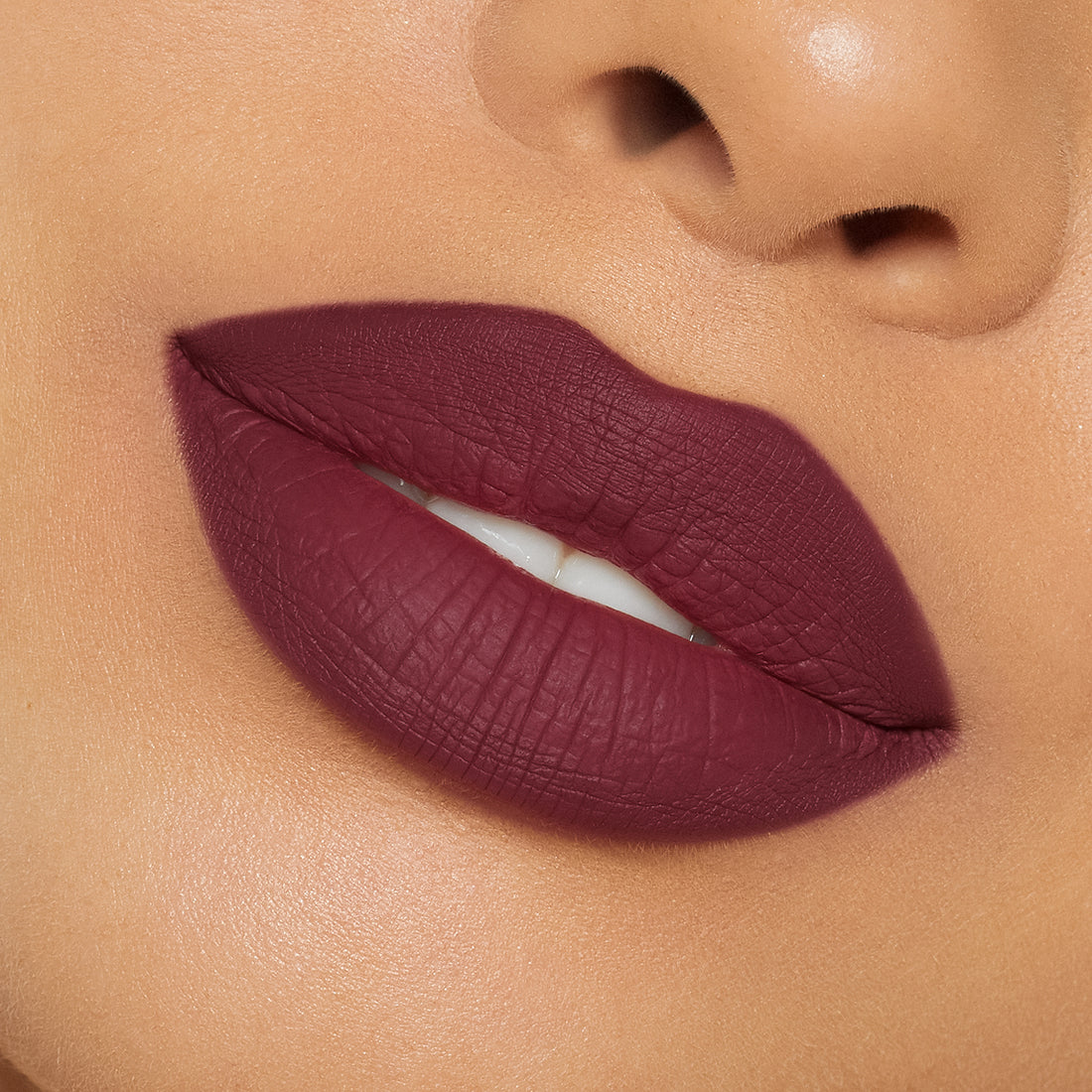 HOLLYBERRY | MATTE LIP KIT