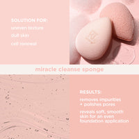 Miracle Cleanse Sponge - 4222