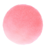 Cheeky Stamp Blendable Blush- 04 Feisty