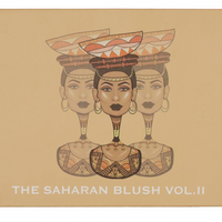 The Saharan Blush Palette Volume II